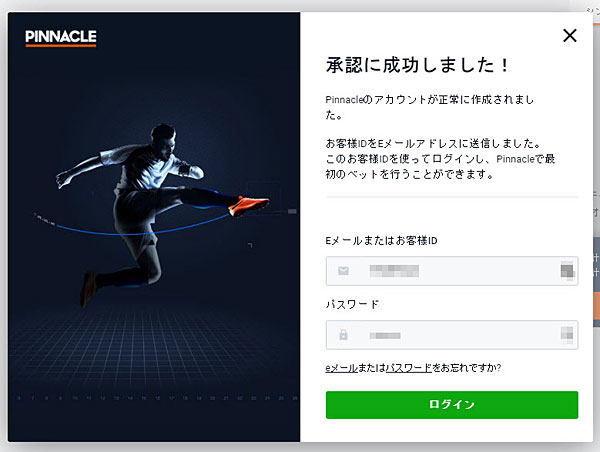 Pinnacle_登録_8