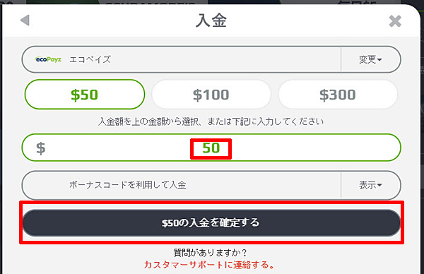 NETBET_入金エコペイズ2