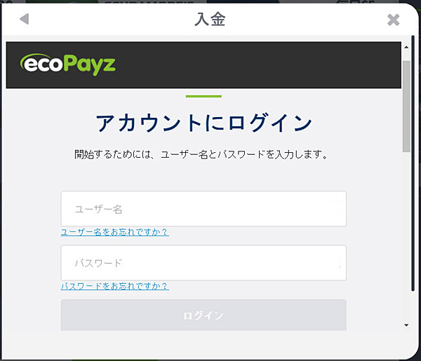 NETBET_入金エコペイズ3