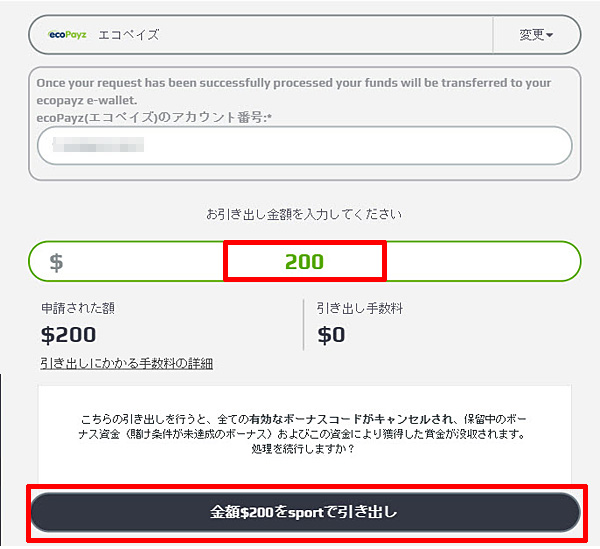 NETBET_出金エコペイズ-2