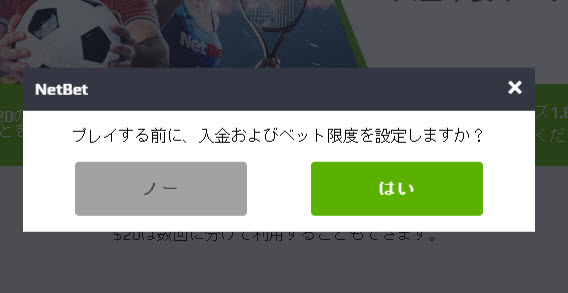 NETBET_登録6