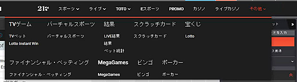 特徴3-スポーツ以外でも遊べる