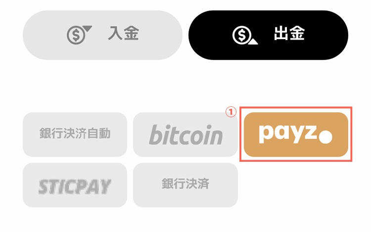 エルドアカジノ Payzを選択