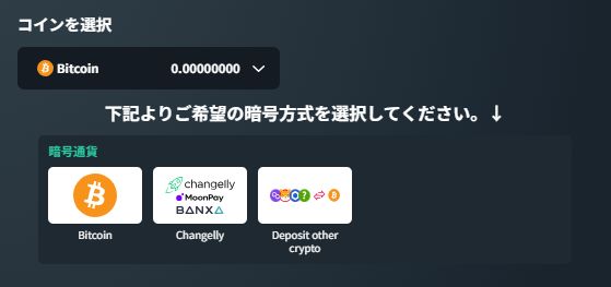 ベイブカジノ 入金方式の選択