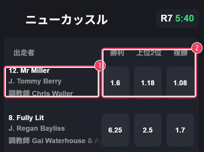 レースカード。出走者と勝利・上位2位・複勝のオッズ